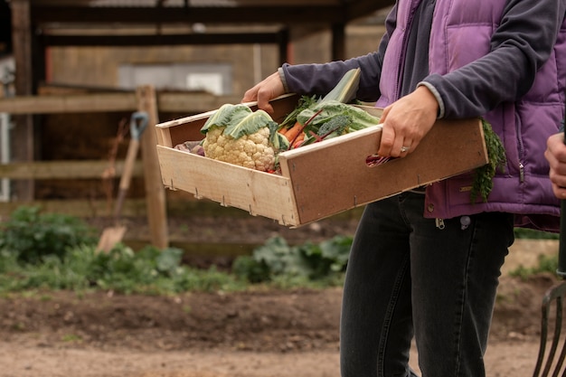 Free photo person caring natural food in crate