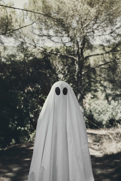 Free photo person in ghost costume standing in grove