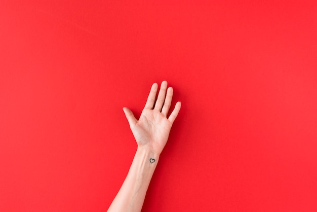 Person hand with heart symbol