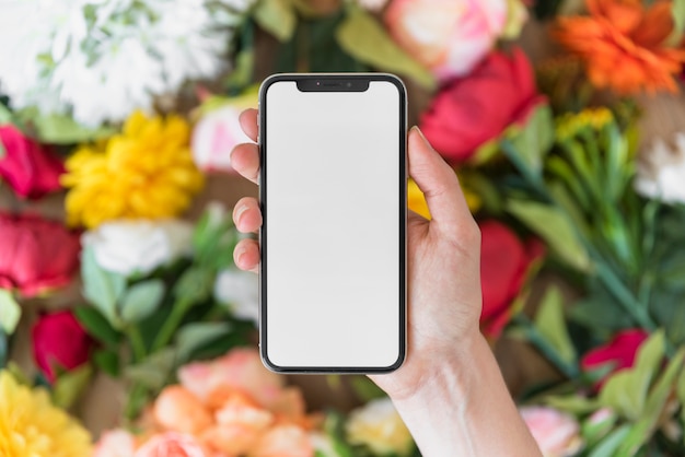 Person hand with smartphone near flowers 