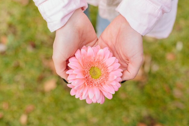 Person holding flower in hands