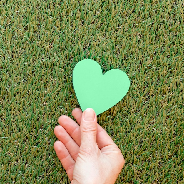 Free photo person holding a green heart on grass