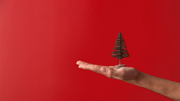 Person holding tree decor horizontal orientation