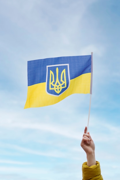 Free Photo person holding ukrainian flag