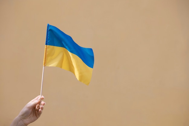 Free Photo person holding ukrainian flag