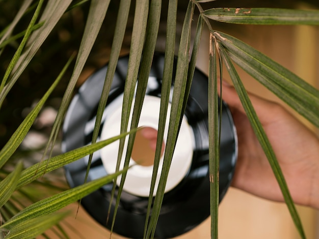 Free photo person holding vinyl record behind a leaf