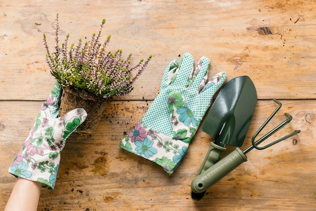 Free photo person's hand in gloves planting flower pot with gardening tool on wooden desk