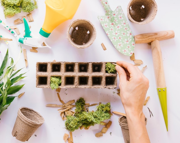 Free photo person's hand putting moss on peat pot with gardening tools on white background