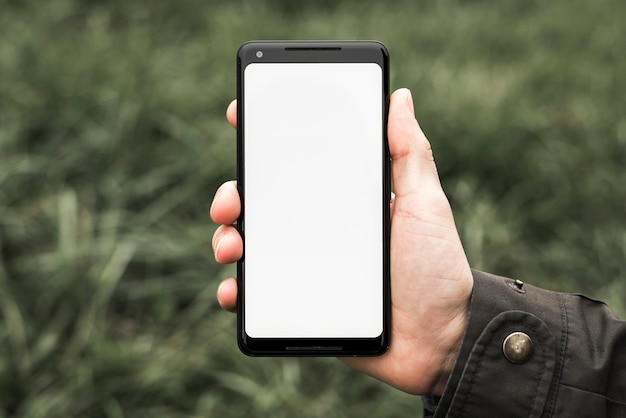 Free Photo a person's hand showing cell phone with white blank screen