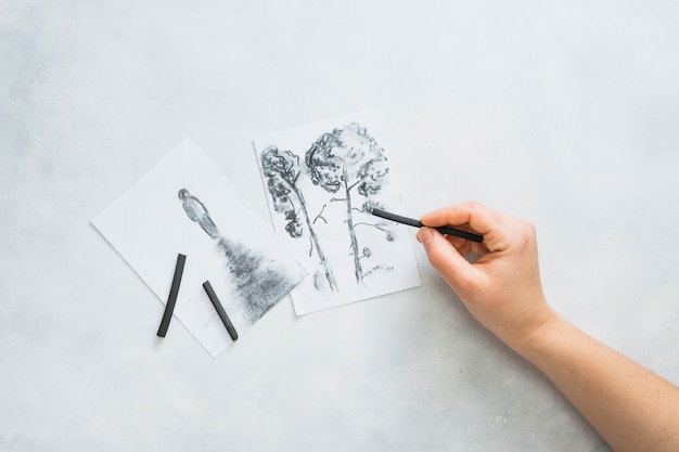 Free Photo person's hand sketching beautiful drawing with charcoal stick on white surface