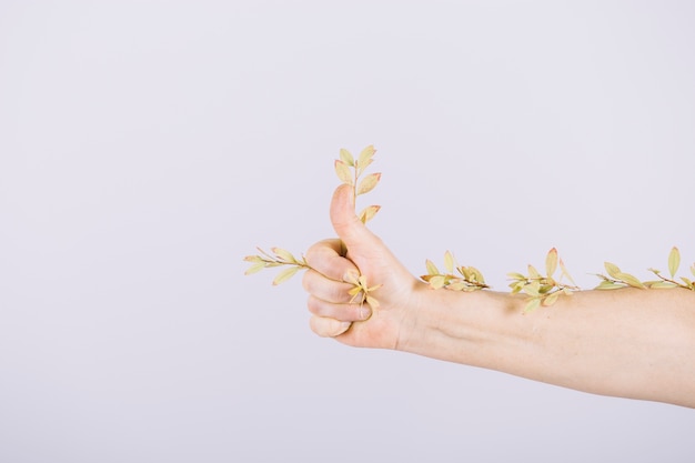 Free photo a person showing thumb up sign with twigs isolated over white background