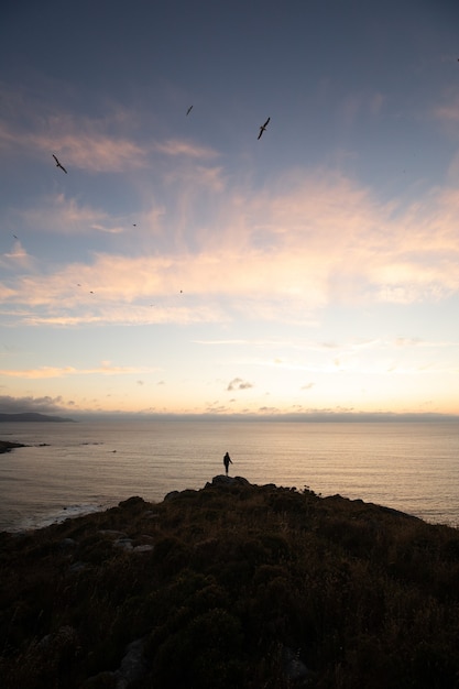 Free photo person standing on top of a hill by the sea at sunset - success concept