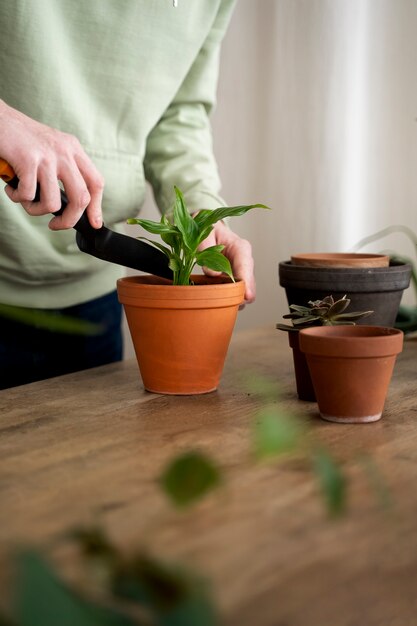 Person transplanting plants in new pots