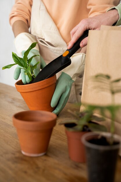 Person transplanting plants in new pots