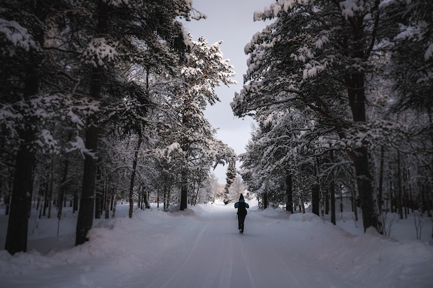 A person in warm clothes walking on a snowy path with trees around