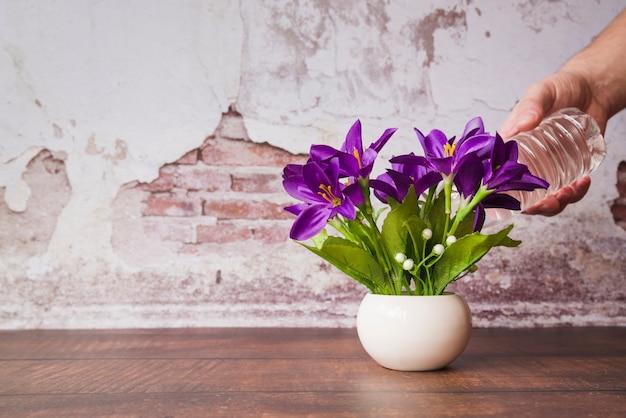 Free photo a person watering the flowers in the vase on wooden table against damaged wall