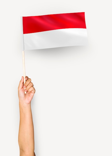 Person waving the flag of Principality of Monaco