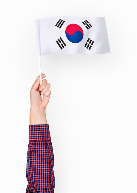 Free photo person waving the flag of south korea