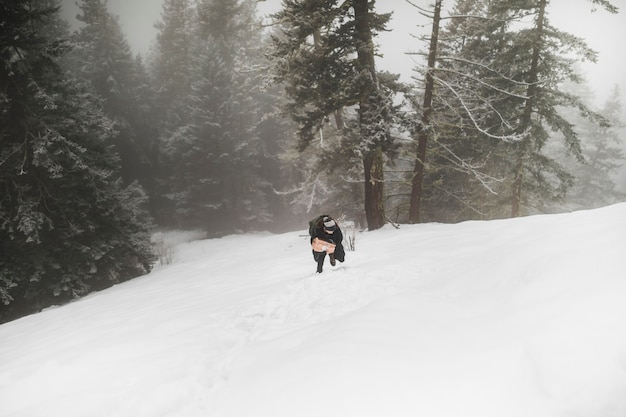 Free photo person with firewood walking on snow