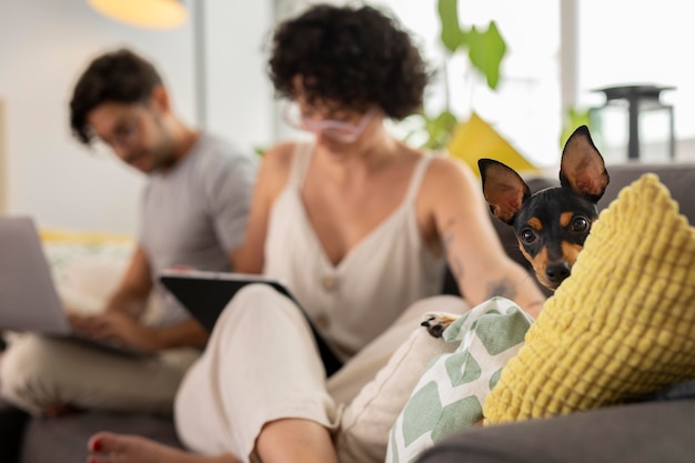 Free Photo person working from home with pet dog