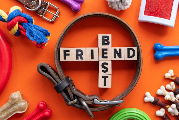 Pet accessories still life concept with best friend text