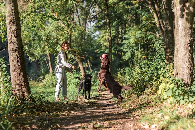 Pet owner playing with her two dogs in park