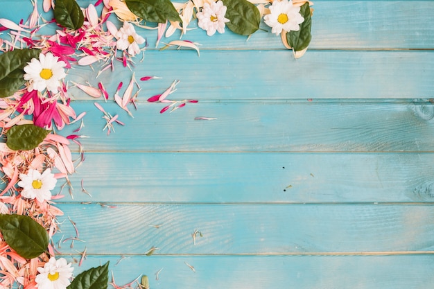 Petals and flowers on blue wood