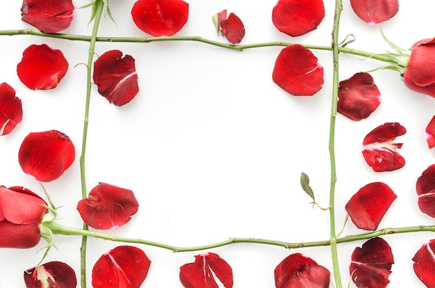 Free photo petals of red roses