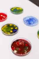 Free photo petri dish with colony of microorganism standing on table