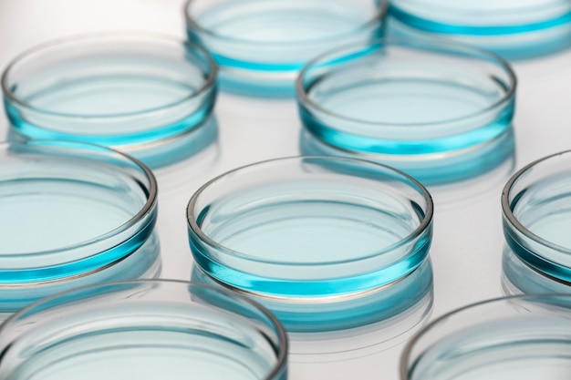 Free Photo petri dishes in medical lab