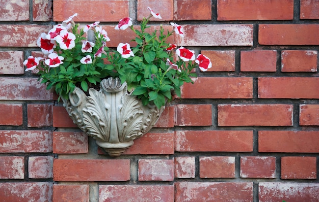 Free photo petunia flowerpot on brick wall