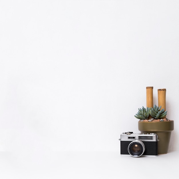 Free photo photo camera and cactus on white background