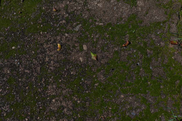 Photo of ground texture pattern