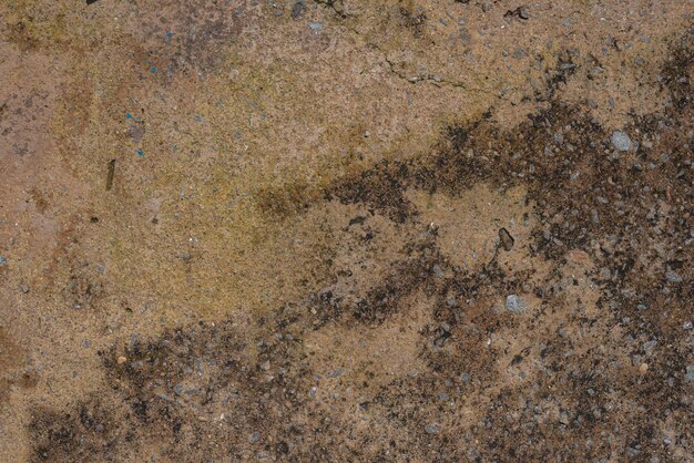 Photo of ground texture pattern