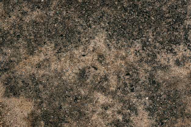 Free Photo photo of ground texture pattern