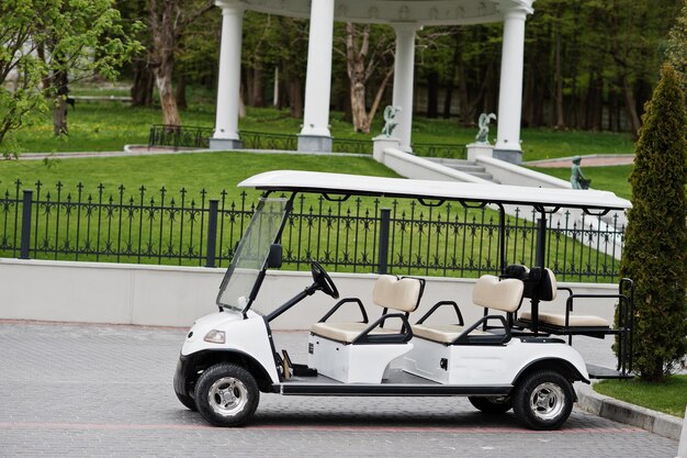 Photo of a tiny golf car standing in the yard