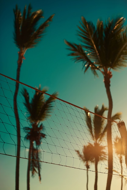 Free Photo photo of  volleyball net on beach behind blue summer dark sunset and palms