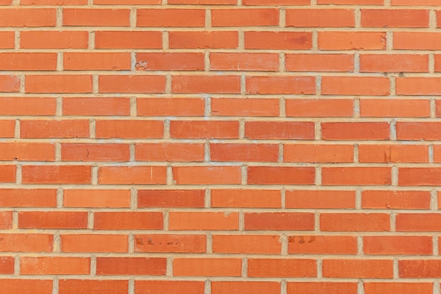 Free Photo photo of wall texture pattern