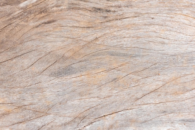 Photo of wood texture pattern