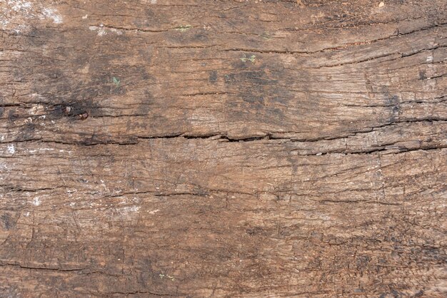 Photo of wood texture pattern