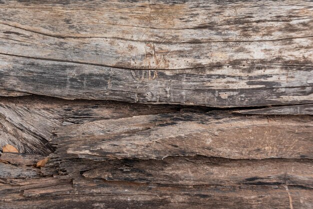 Photo of wood texture pattern