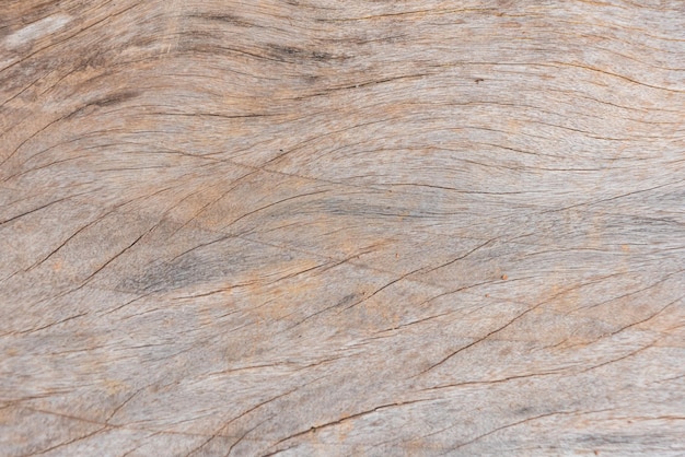 Photo of wood texture pattern