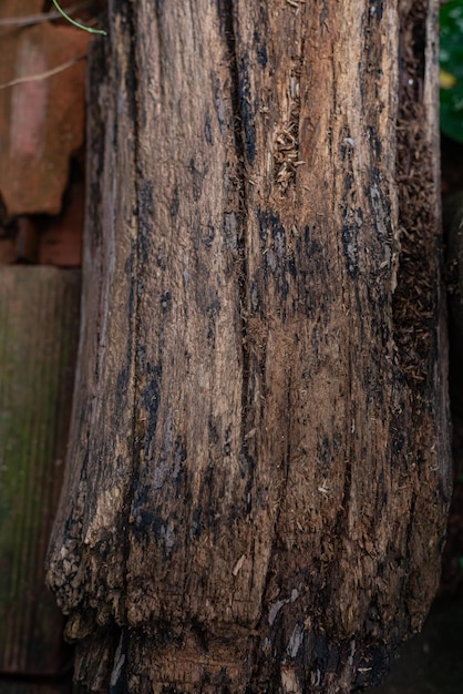 Photo of wood texture pattern