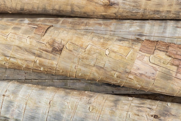 Photo of wood texture pattern