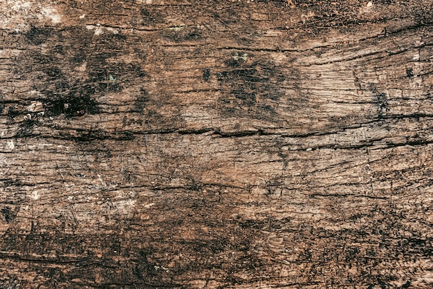 Free photo photo of wood texture pattern