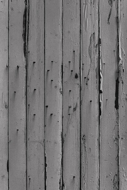 Free photo photo of wood texture pattern