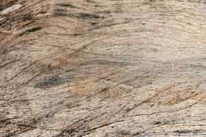 Free photo photo of wood texture pattern