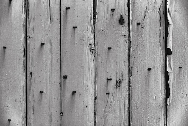 Free Photo photo of wood texture pattern