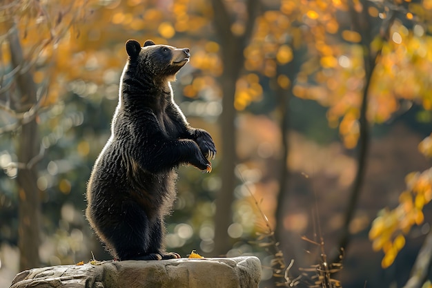 Free photo photorealistic view of wild bear in its natural environment