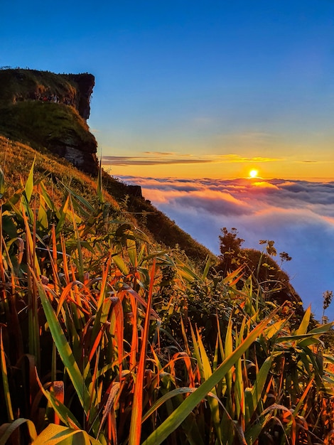 Phu chi fa and mist at sunrise in Chiang rai province,Thailand